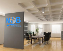MYB Global homepage